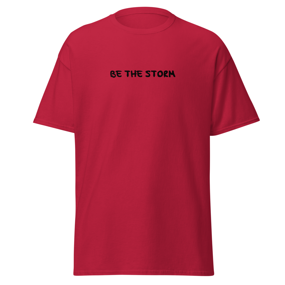 "Be the storm" printed on a cardinal on an invisible body