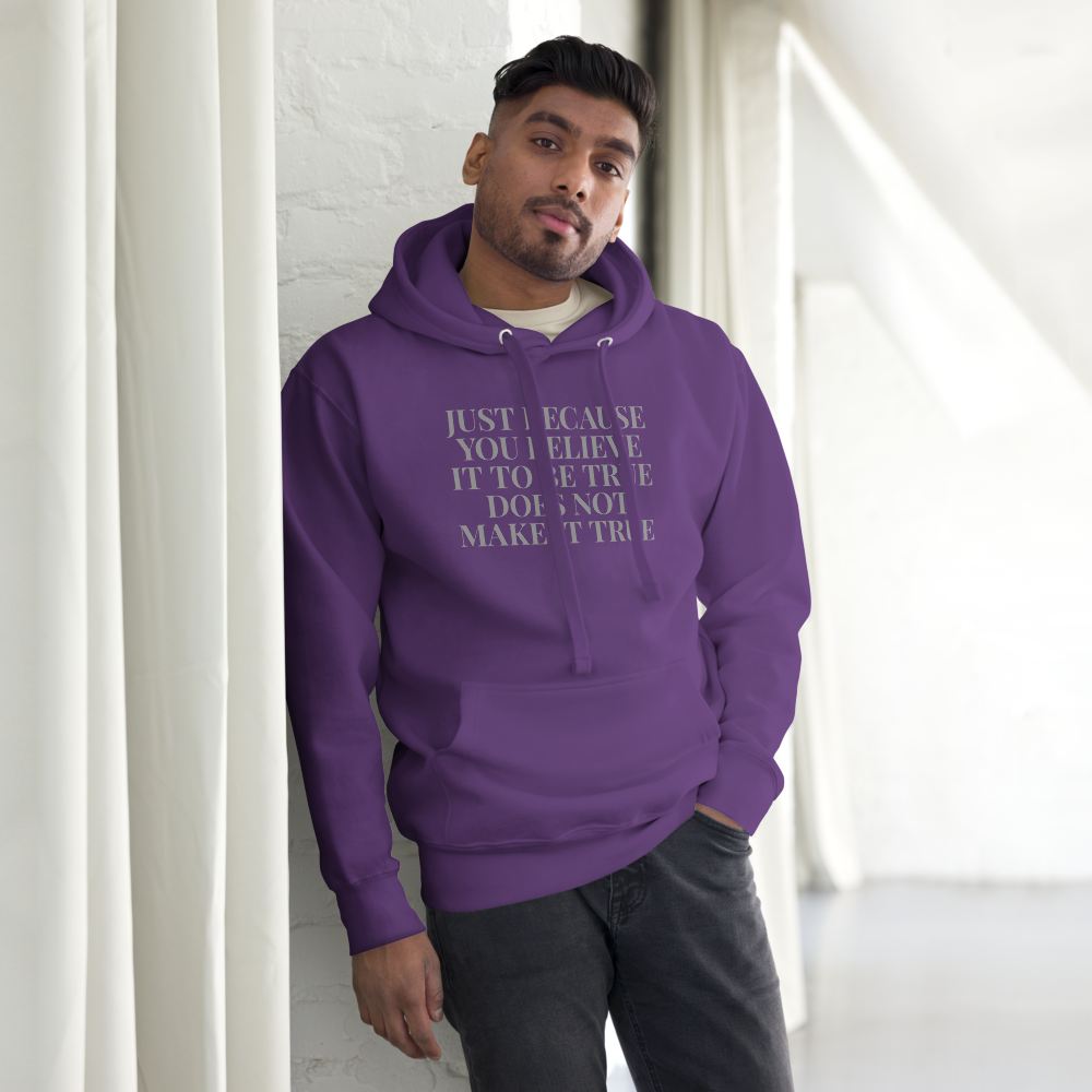 "Just because you believe it to be true does not make it true" printed on a purple unisex hoodie worn by a male