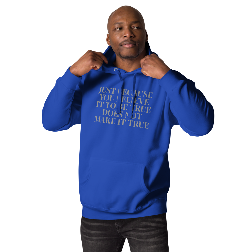 "Just because you believe it to be true does not make it true" printed on a team royal unisex hoodie worn by a male