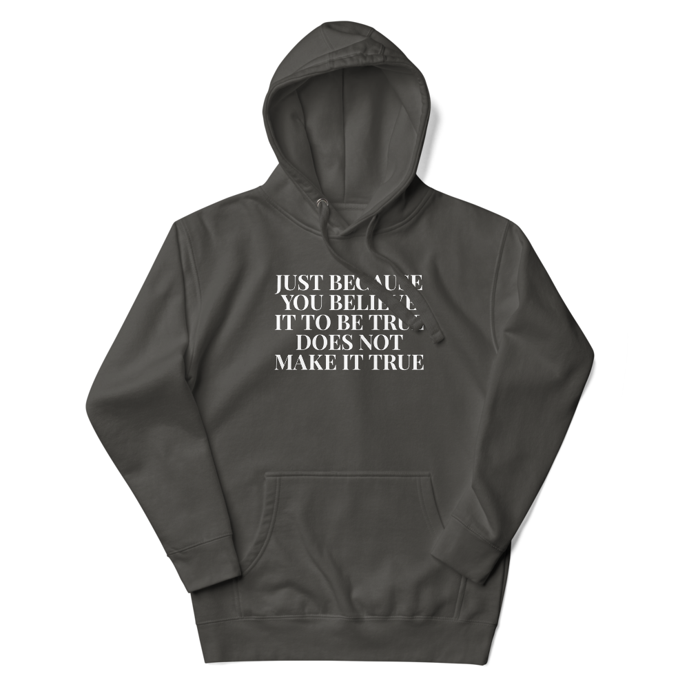 "Just because you believe it to be true does not make it true" printed on a vintage black unisex hoodie laying on a flat surface with the hood up