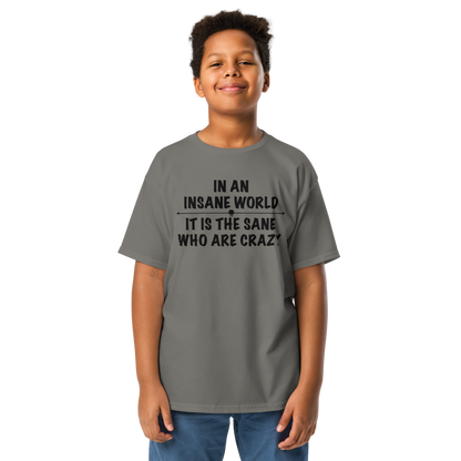 "In an insane world, it is the sane who are crazy" printed on a charcoal youth classic tee worn by a male