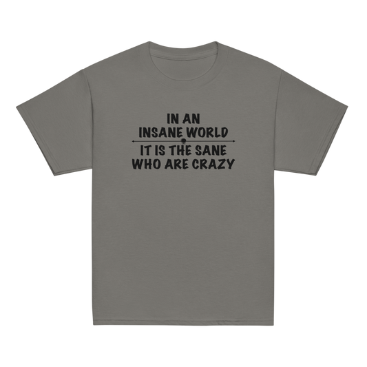 "In an insane world, it is the sane who are crazy" printed on a charcoal youth classic tee laying on a flat surface