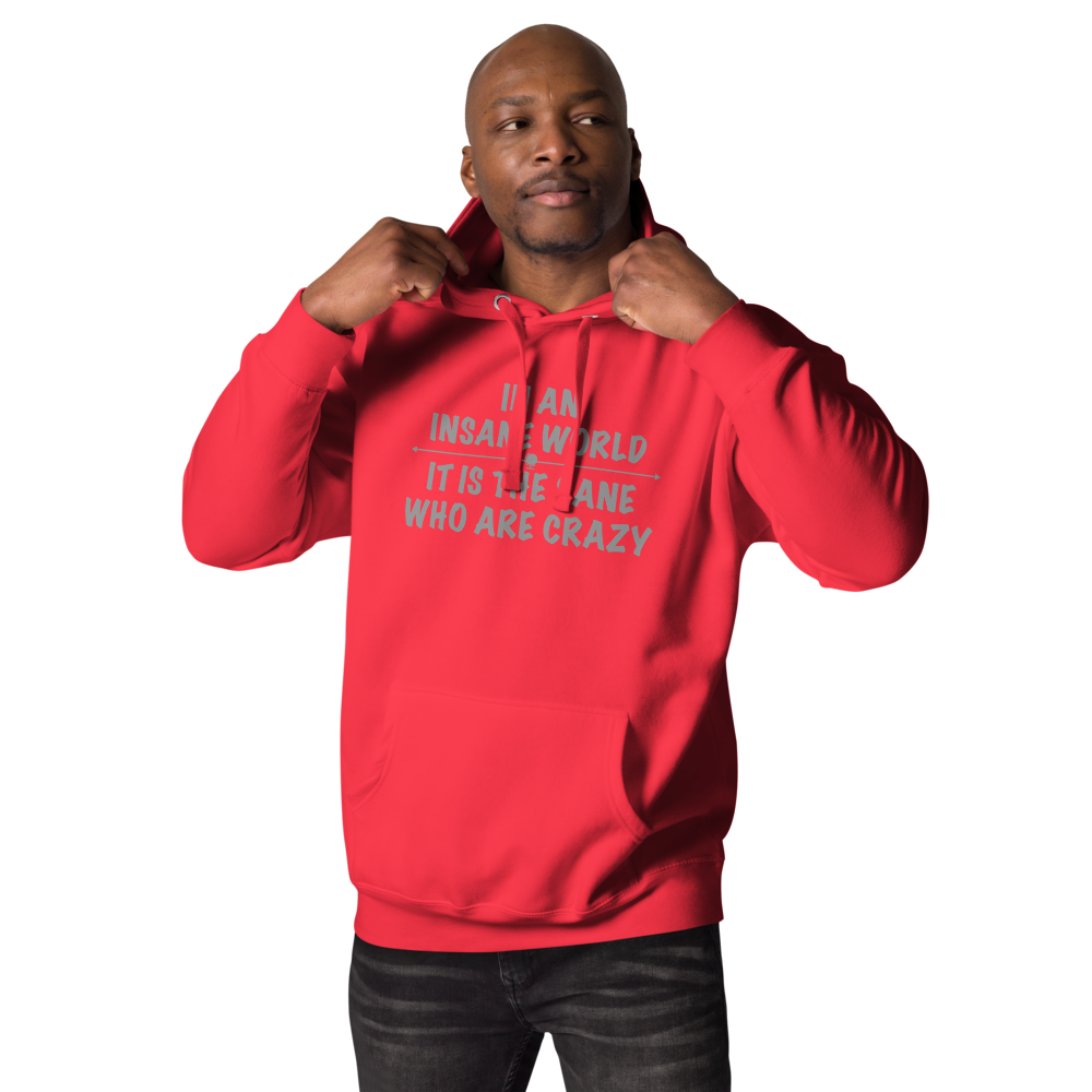 "In an insane world, it is the sane who are crazy" printed on a team red unisex hoodie worn by a male