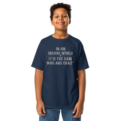 "In an insane world, it is the sane who are crazy" printed on a navy youth classic tee worn by a male