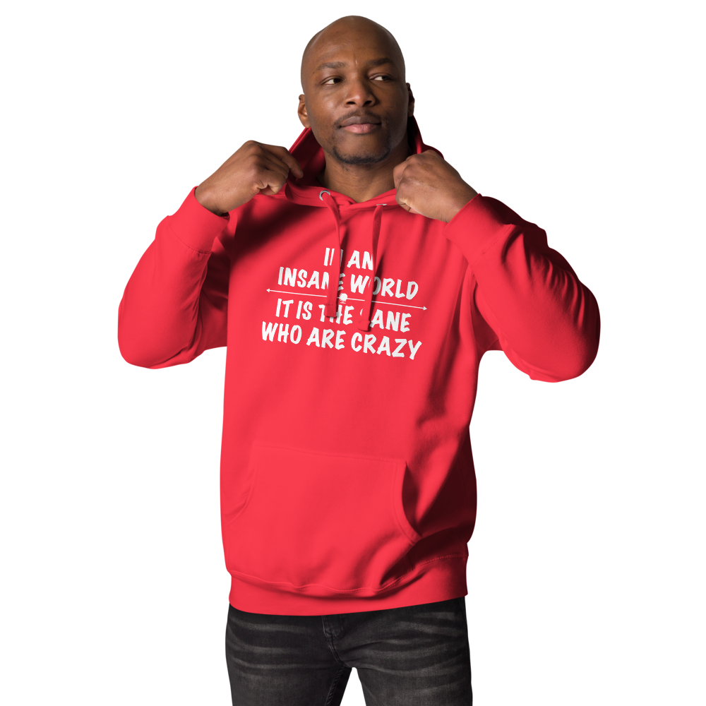"In an insane world, it is the sane who are crazy" printed on a team red unisex hoodie worn by a male