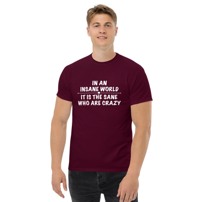 "In an insane world, it is the sane who are crazy" printed on a maroon unisex classic tee worn by a male