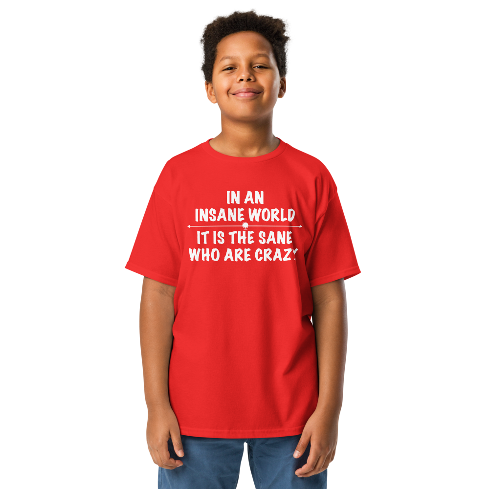 "In an insane world, it is the sane who are crazy" printed on a red youth classic tee worn by a male