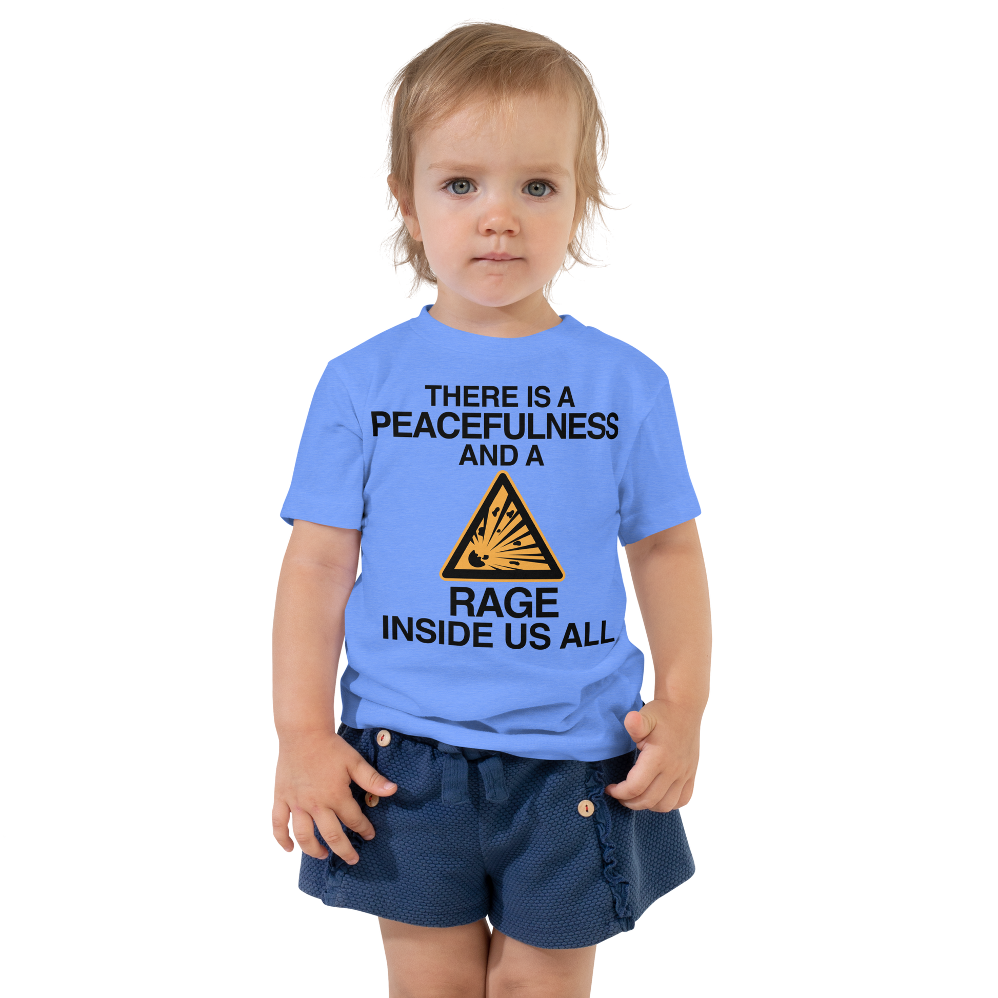 "There is a peacefulness and a rage inside us all" printed on a heather columbia blue toddler short sleeve tee worn by a female