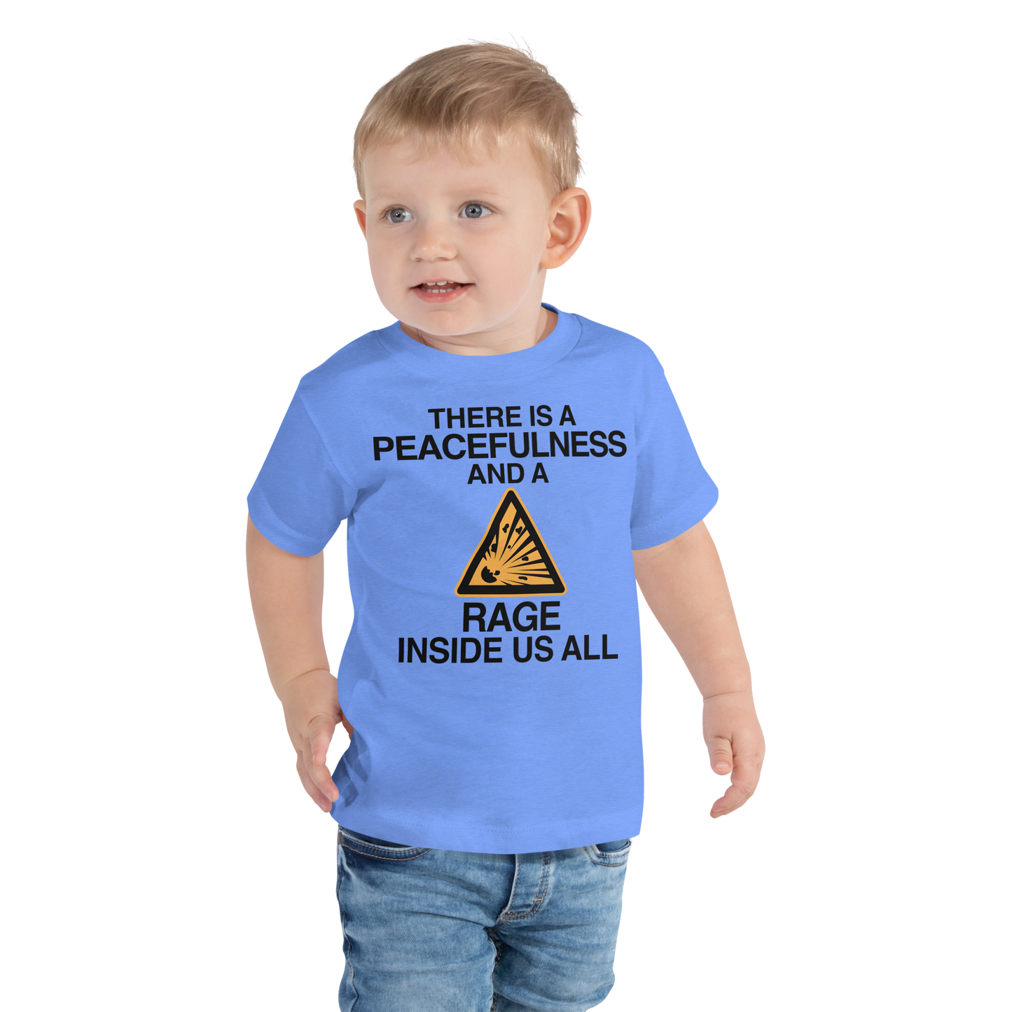 "There is a peacefulness and a rage inside us all" printed on a heather columbia blue toddler short sleeve tee worn by a male