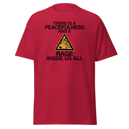 "There is a peacefulness and a rage inside us all" printed on a cardinal on an invisible body