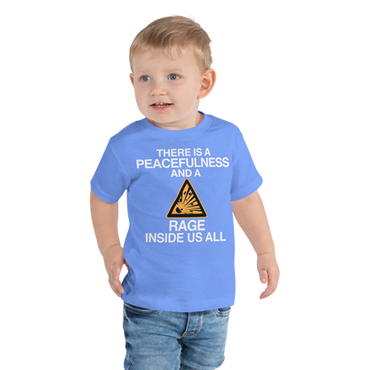 "There is a peacefulness and a rage inside us all" printed on a heather columbia blue toddler short sleeve tee worn by a male
