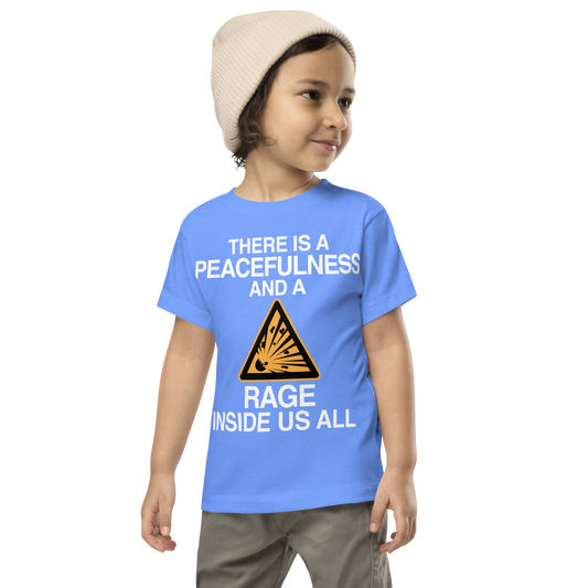 "There is a peacefulness and a rage inside us all" printed on a heather columbia blue toddler short sleeve tee worn by a male wearing a cap
