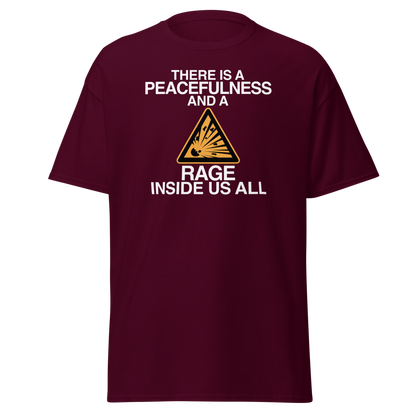 "There is a peacefulness and a rage inside us all" printed on a maroon on an invisible body