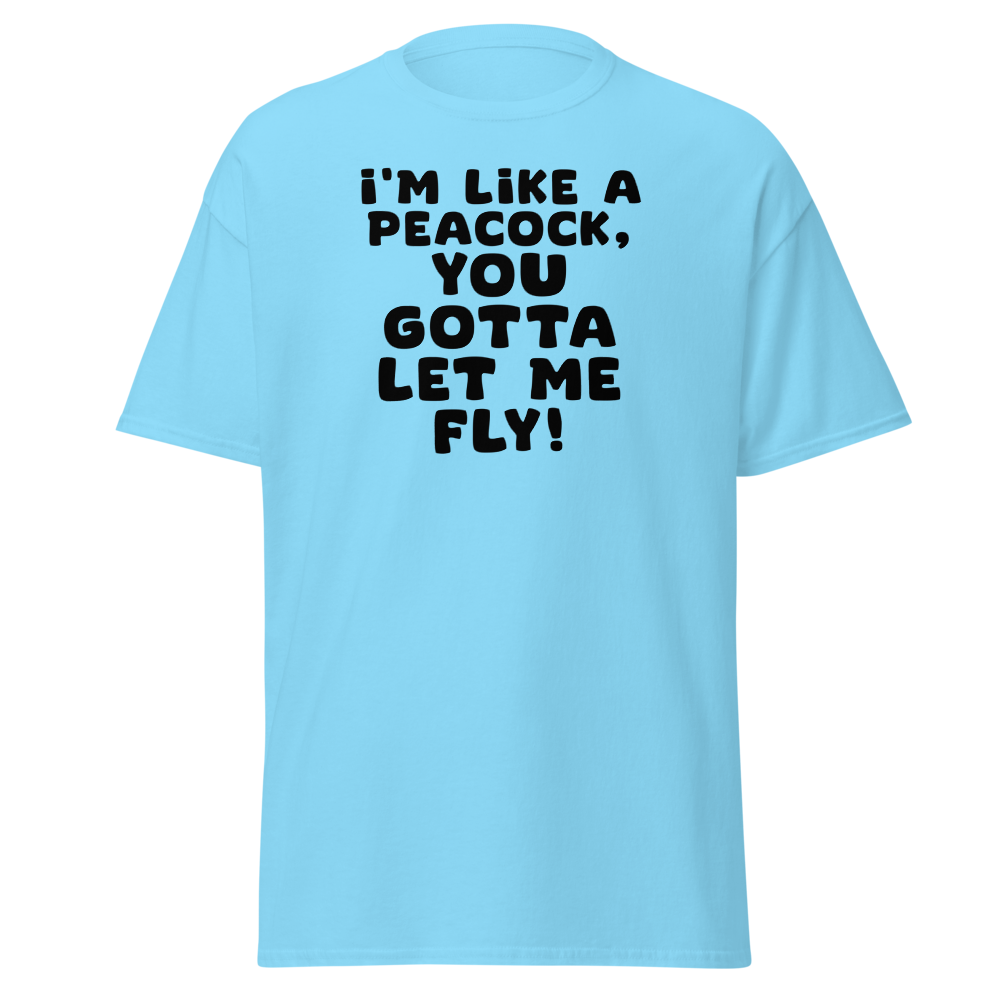 "I'm like a peacock, you gotta let me fly!" printed on a sky on an invisible body