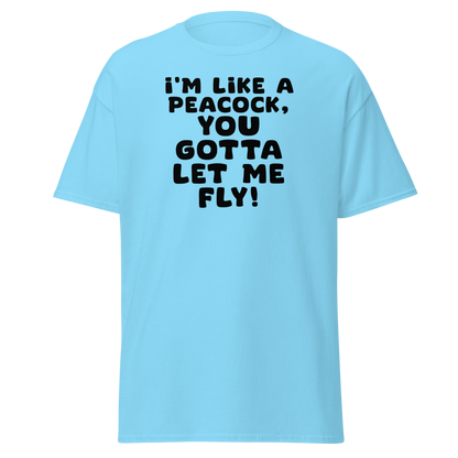 "I'm like a peacock, you gotta let me fly!" printed on a sky on an invisible body