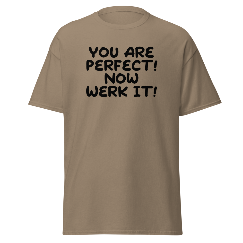 "You Are Perfect! Now Werk It!" printed on a brown savana on an invisible body