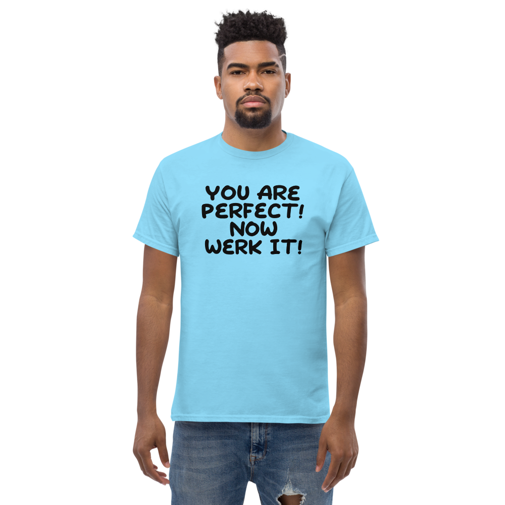 "You Are Perfect! Now Werk It!" printed on a sky unisex classic tee worn by a male