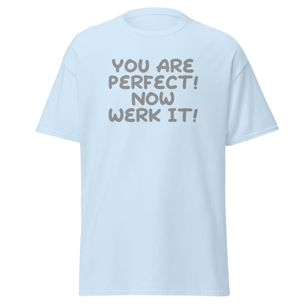 "You Are Perfect! Now Werk It!" printed on a light blue on an invisible body