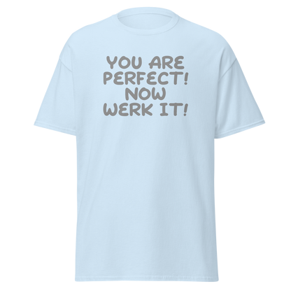 "You Are Perfect! Now Werk It!" printed on a light blue on an invisible body