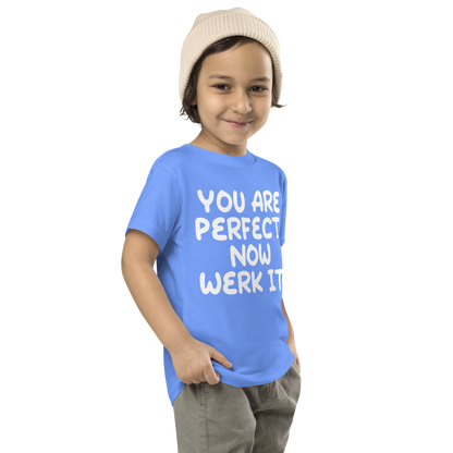 "You Are Perfect! Now Werk It!" printed on a heather columbia blue toddler short sleeve tee worn by a male who is also wearing a knit cap