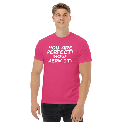 "You Are Perfect! Now Werk It!" printed on a heliconia unisex classic tee worn by a male