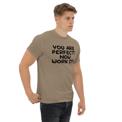 "You Are Perfect! Now Work It!" printed on a brown savana unisex classic tee worn by a male
