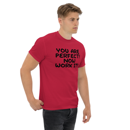 "You Are Perfect! Now Work It!" printed on a cardinal unisex classic tee worn by a male