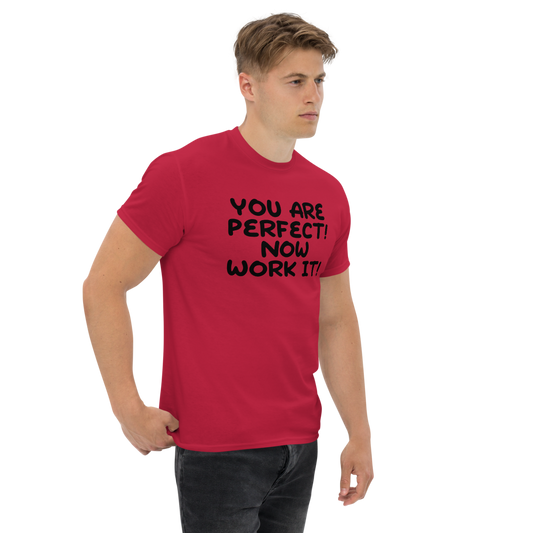 "You Are Perfect! Now Work It!" printed on a cardinal unisex classic tee worn by a male
