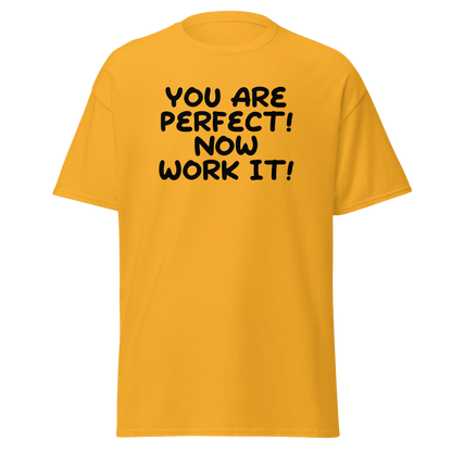 "You Are Perfect! Now Work It!" printed on a gold on an invisible body
