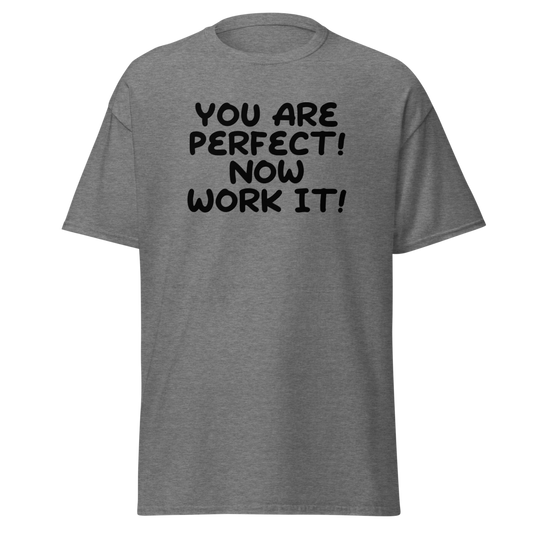 "You Are Perfect! Now Work It!" printed on a graphite heather unisex classic tee laying on a flat surface
