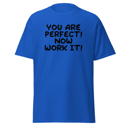 "You Are Perfect! Now Work It!" printed on a royal on an invisible body