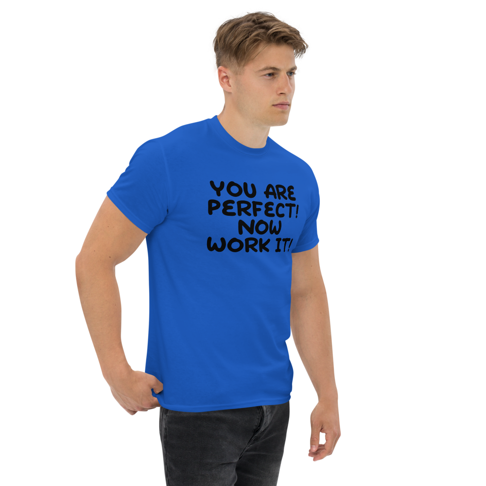 "You Are Perfect! Now Work It!" printed on a royal unisex classic tee worn by a male