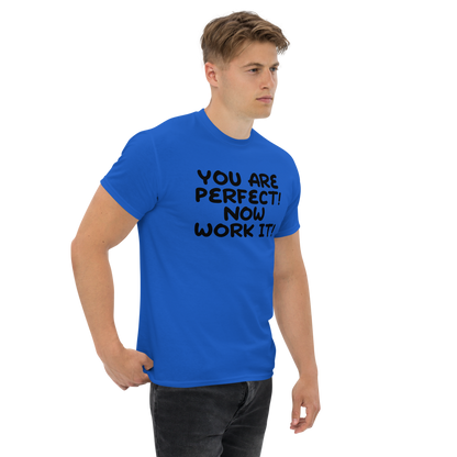 "You Are Perfect! Now Work It!" printed on a royal unisex classic tee worn by a male