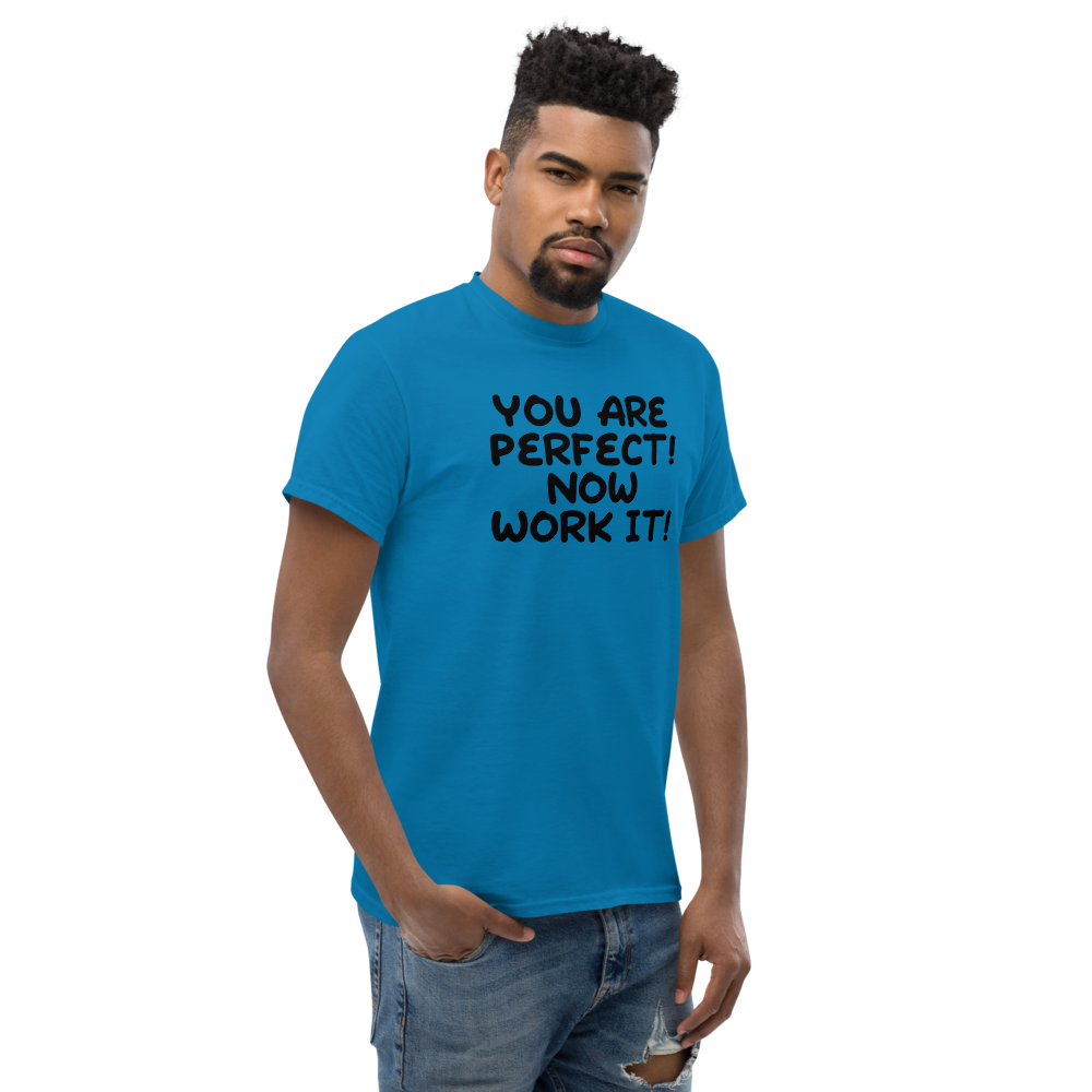"You Are Perfect! Now Work It!" printed on a sapphire unisex classic tee worn by a male
