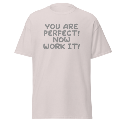 "You Are Perfect! Now Work It!" printed on a ice grey on an invisible body