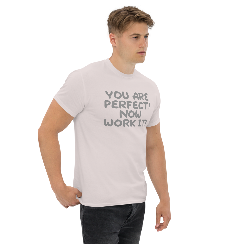 "You Are Perfect! Now Work It!" printed on a ice grey unisex classic tee worn by a male