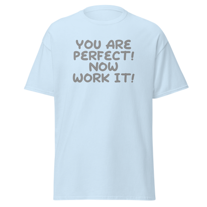 "You Are Perfect! Now Work It!" printed on a light blue on an invisible body