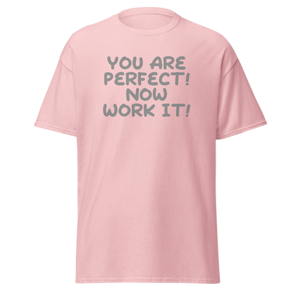 "You Are Perfect! Now Work It!" printed on a light pink on an invisible body