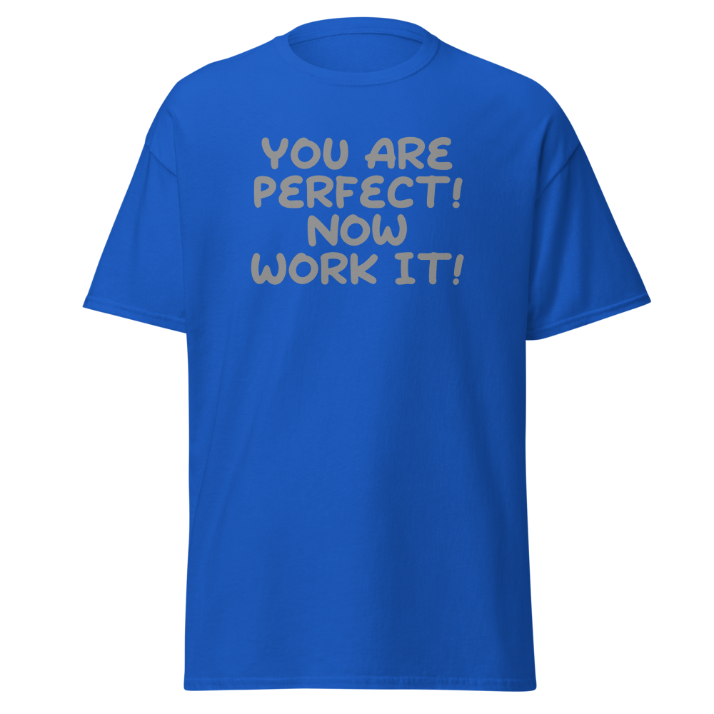 "You Are Perfect! Now Work It!" printed on a royal on an invisible body
