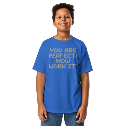 "You Are Perfect! Now Work It!" printed on a royal youth classic tee worn by a male