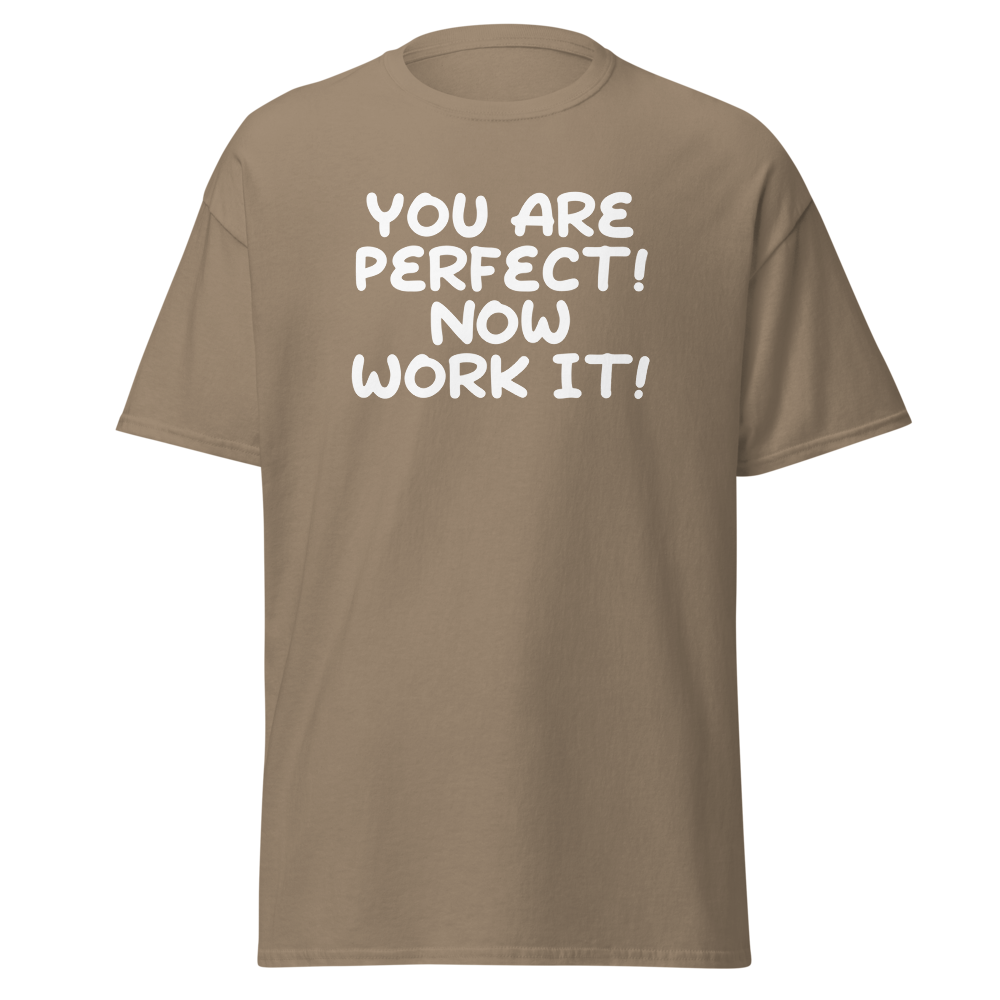 "You Are Perfect! Now Work It!" printed on a brown savana on an invisible body