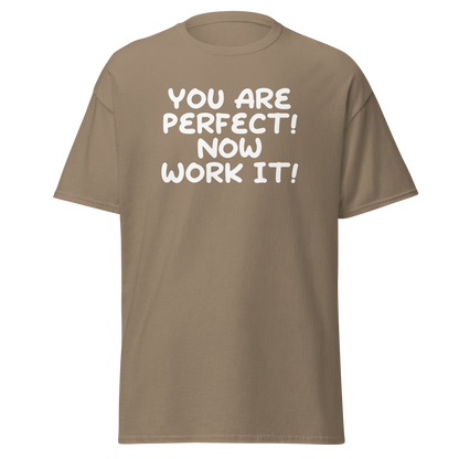 "You Are Perfect! Now Work It!" printed on a brown savana on an invisible body