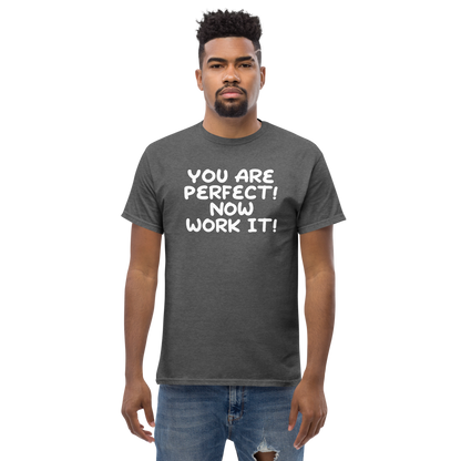 "You Are Perfect! Now Work It!" printed on a dark heather unisex classic tee worn by a male