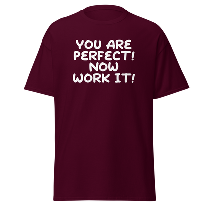 "You Are Perfect! Now Work It!" printed on a maroon on an invisible body