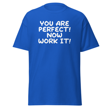 "You Are Perfect! Now Work It!" printed on a royal on an invisible body
