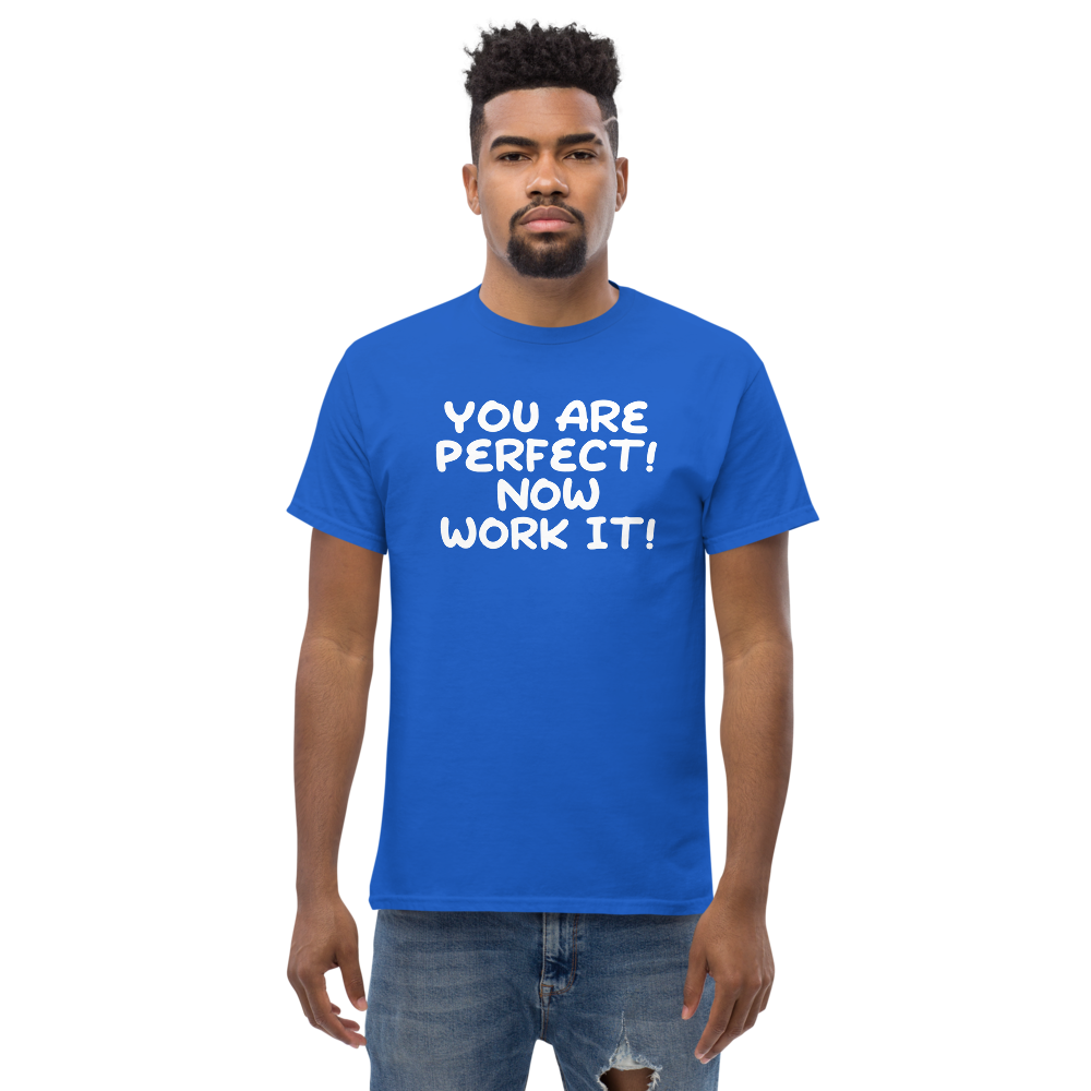 "You Are Perfect! Now Work It!" printed on a royal unisex classic tee worn by a male