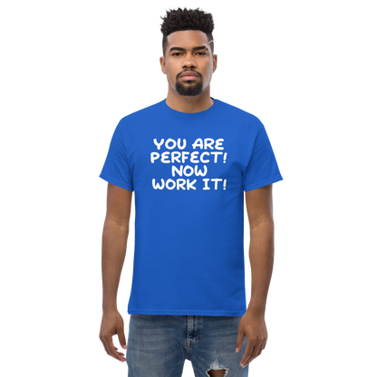 "You Are Perfect! Now Work It!" printed on a royal unisex classic tee worn by a male