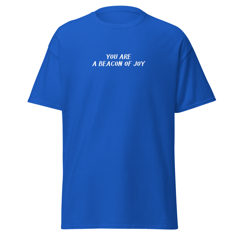 "You are a beacon of joy" printed on a royal on an invisible body